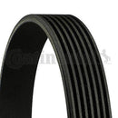 BMW V-Ribbed Belt