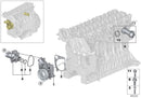 BMW Thermostat and Housing Coolant with Seal
