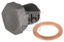 Screw Plug Oil Sump