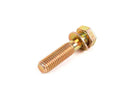 BMW Hex Bolt with Washer