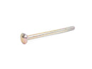 BMW Saucer Head Screw