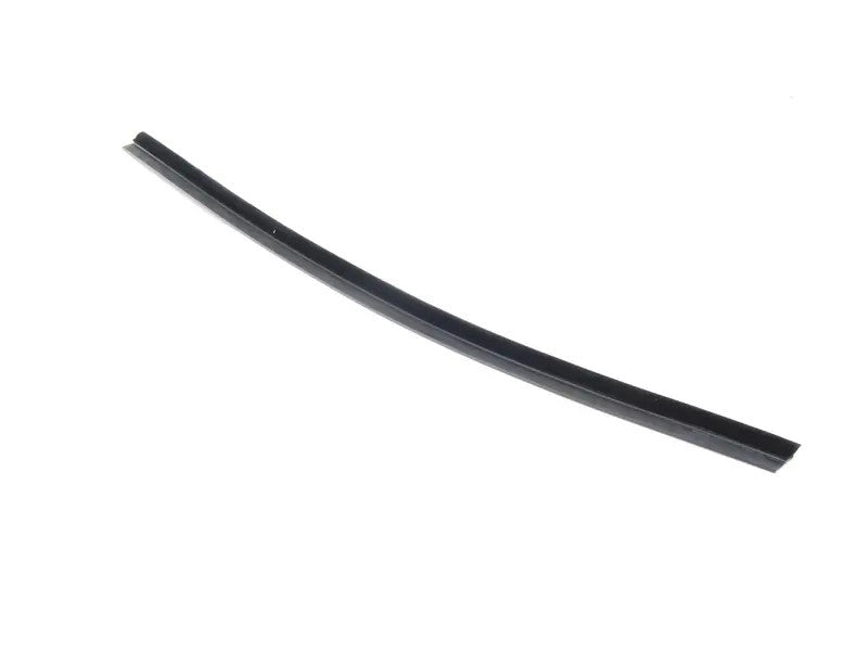 BMW Door Weather Strip