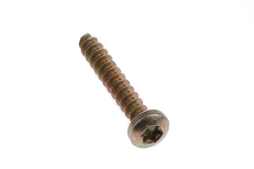 BMW Fillister Head Screw