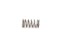 BMW Valve Spring