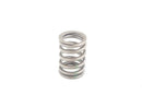 BMW Valve Spring