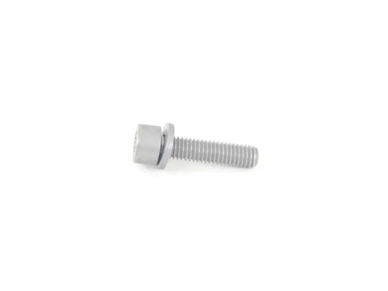 BMW Fillister Head Screw with Washer