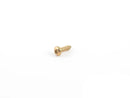BMW Fillister Head Self Tapping Screw