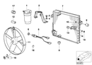 BMW Rubber Mounting