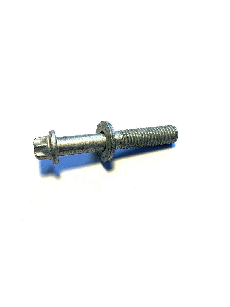 BMW Torx Bolt with Washer