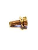 BMW Hex Bolt with Washer