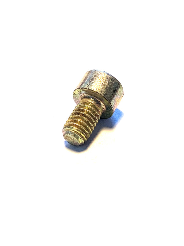 BMW Fillister Head Screw