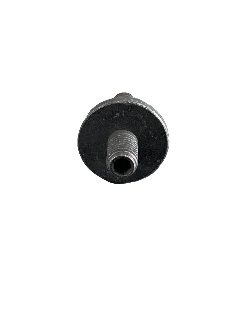BMW Adjusting Screw