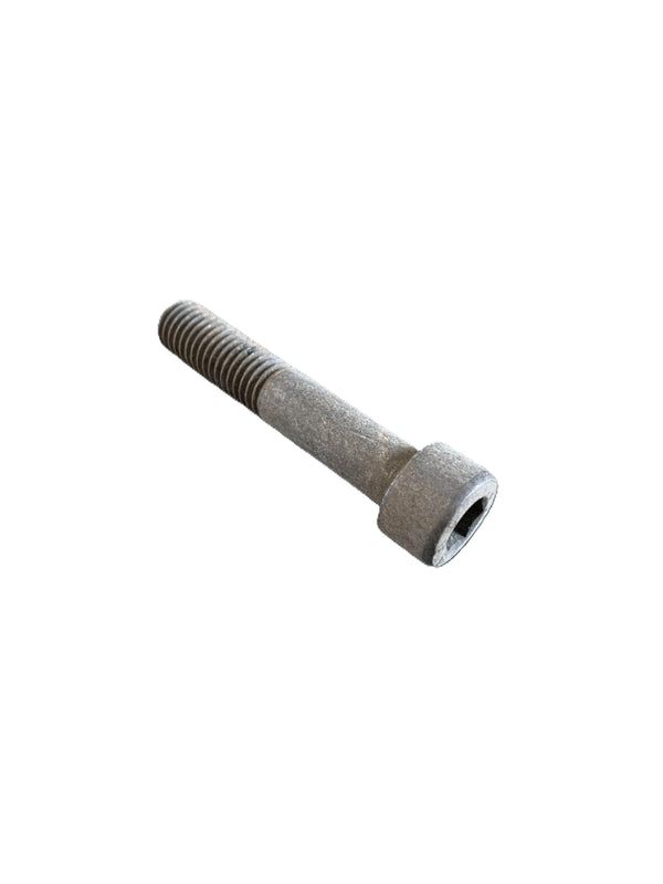 BMW Fillister Head Screw