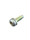 BMW Mini Torx Bolt with Washer