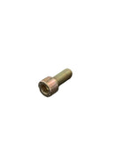 BMW Fillister Head Screw