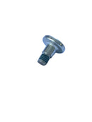 BMW Collar Screw