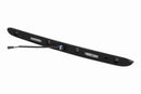 BMW Boot Trunk Handle with Key Button
