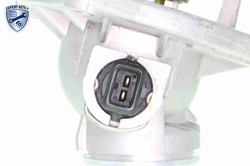 BMW Thermostat and Housing with Seal
