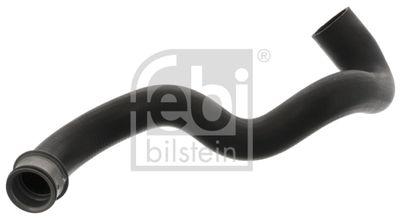 Mercedes-Benz Engine Coolant Radiator Water Hose