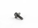 Genuine BMW ISA Screw