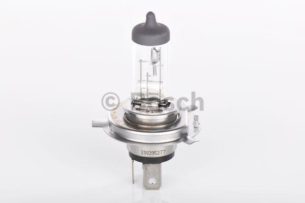 Audi BMW Mercedes-Benz Mini Porsche Halogen Headlight Bulb