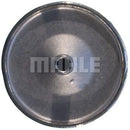 Genuine Mahle BMW Fuel Filter In Line