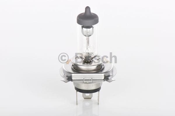 Audi BMW Mercedes-Benz Mini Porsche Halogen Headlight Bulb