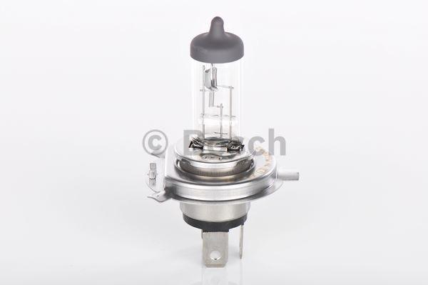 Audi BMW Mercedes-Benz Mini Porsche Halogen Headlight Bulb