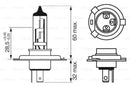 Audi BMW Mercedes-Benz Mini Porsche Halogen Headlight Bulb