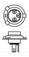 Audi BMW Mercedes-Benz Mini Porsche Halogen Headlight Bulb