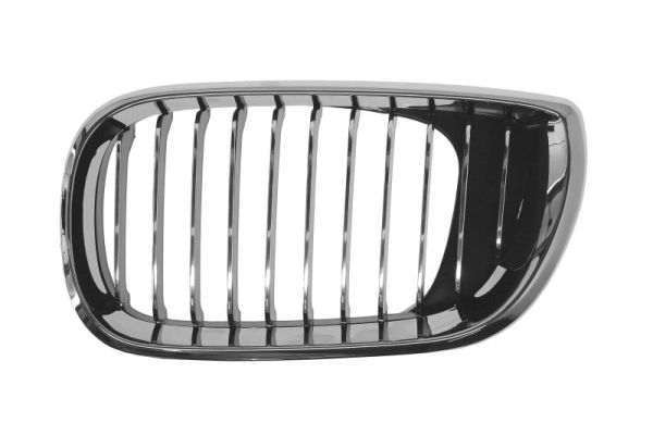 BMW Radiator Kidney Grille