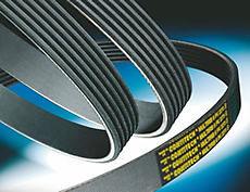 Audi BMW Porsche VW V-Ribbed Belt