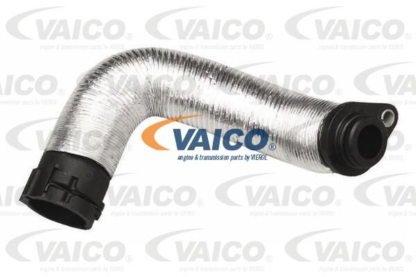 BMW Engine Coolant Radiator Water Hose