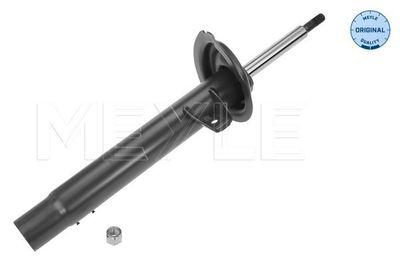 BMW Shock Absorber Front Left