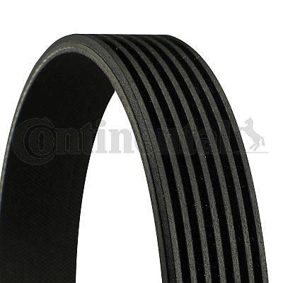 Genuine Continental BMW V-Ribbed Belt