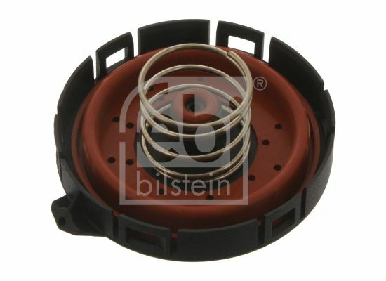 BMW Crankcase Pressure Breather Valve