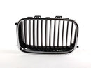 BMW Kidney Radiator Grille Chrome and Black