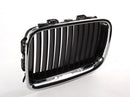 BMW Kidney Radiator Grille Chrome and Black