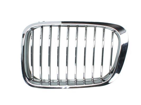 BMW Radiator Kidney Grille