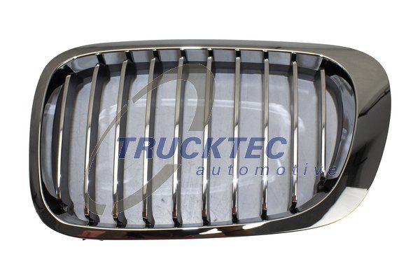 BMW Radiator Kidney Grille