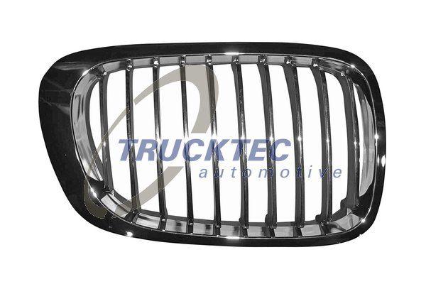 BMW Radiator Kidney Grille