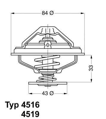 BMW Thermostat and Seal Engine Coolant