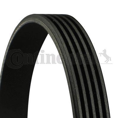 Genuine Continental BMW Porsche Volvo V-Ribbed Belt ­­