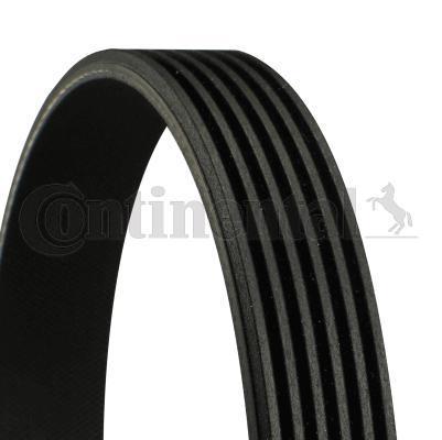 Genuine Continental Jaguar Mercedes-Benz V-Ribbed Belt