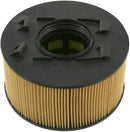 BMW Engine Air Filter