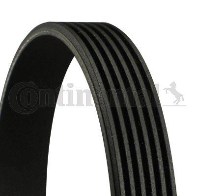 Genuine Continental BMW Porsche VW V-Ribbed Belt