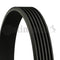 Genuine Continental Audi Jeep Mercedes-Benz V-Ribbed Belt