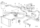 Hose Clamp