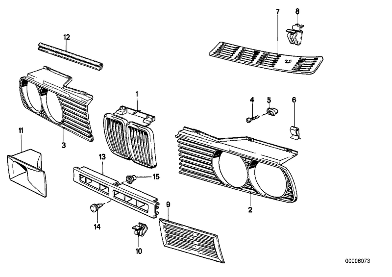 Genuine BMW Kidney Grille