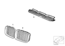 BMW Radiator Kidney Grille